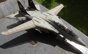 Grumman F-14D Tomcat