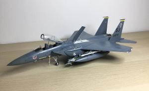 Galerie: McDonnell Douglas F-15E Strike Eagle