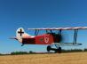 Gut für den etwas fauleren Bastler: Die Fokker D.VII war nicht allzu aufwendig verspannt!