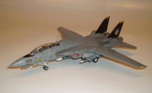 Grumman F-14D Tomcat