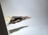 Grumman F-14A Tomcat