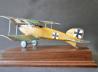 Albatros D.II