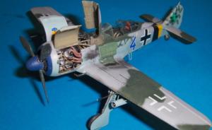 Galerie: Focke-Wulf Fw 190 A-8