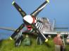 North American P-51D Mustang