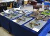 Ausstellung des PMC Kurpfalz