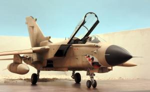 : Panavia Tornado GR.1 "MiG Eater"