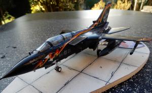 Galerie: Panavia Tornado IDS