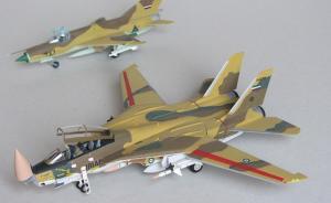 Grumman F-14A Tomcat IRIAF vs. MiG-21