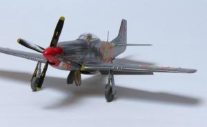 Galerie: Race Mustang P-51D #44 "Jelly Belly"