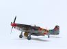 Race Mustang P-51D #44 &quot;Jelly Belly&quot;