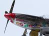 Race Mustang P-51D #44 &quot;Jelly Belly&quot;