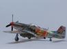 Race Mustang P-51D #44 &quot;Jelly Belly&quot;