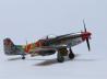 Race Mustang P-51D #44 &quot;Jelly Belly&quot;