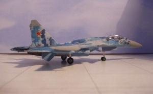 Galerie: Suchoi Su-27 Flanker