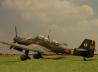 Junkers Ju 87 D-5