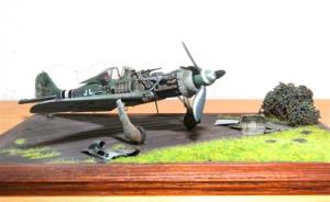 Focke-Wulf Fw 190 D-9