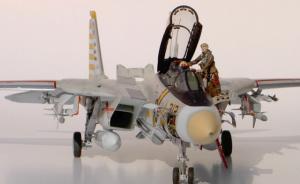 Grumman F-14A Tomcat