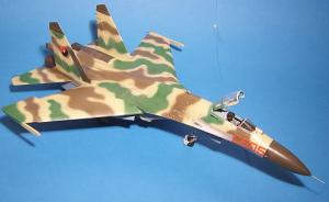 Galerie: Suchoi Su-27 Flanker B