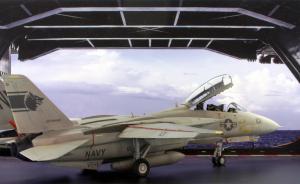 Bausatz: F-14A