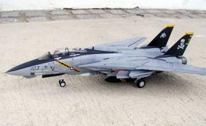 Grumman F-14B Tomcat