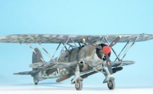 Galerie: Fiat CR.42 LW Falco