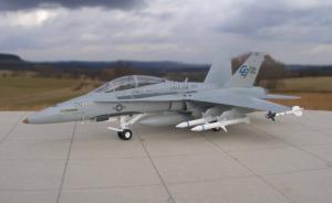 McDonnell Douglas F/A-18D Hornet