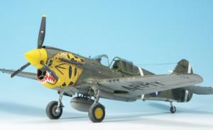 Galerie: Curtiss P-40E Warhawk