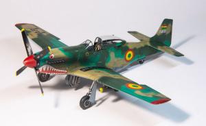 Galerie: Cavalier F-51D Mustang
