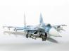 Suchoi Su-33 Flanker-D