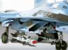 Suchoi Su-33 Flanker-D