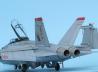 Boeing F/A-18F Super Hornet