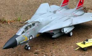 Grumman F-14A Tomcat