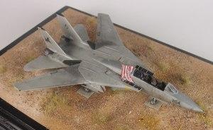 Grumman F-14D Tomcat