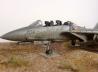 Grumman F-14D Tomcat