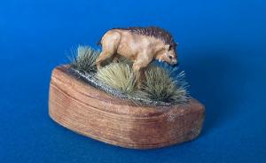 Galerie: Dinocrocuta gigantea