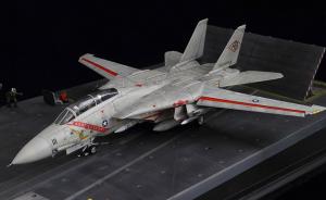 Galerie: Grumman F-14A Tomcat