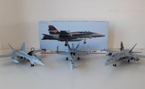 Bausatz: McDonnell Douglas F/A-18C Hornet
