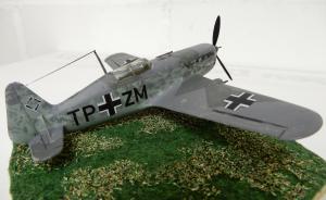 : Morane-Saulnier MS.406