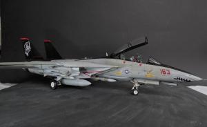 Galerie: Grumman F-14D Tomcat