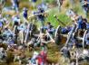 Schlacht am Antietam 1862