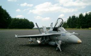 McDonnell Douglas F/A-18C Hornet