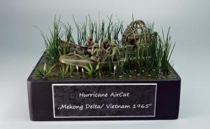 Hurricane Aircat