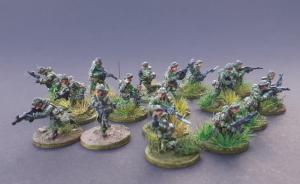 Galerie: Special Air Service (SAS)