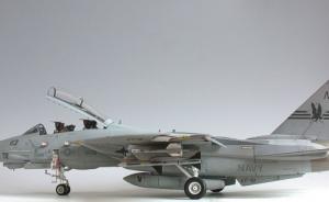 Grumman F-14A Tomcat