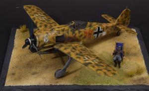 Bausatz: Fw 190 F-8