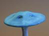 Ein Blue
