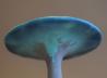 Ein Blue