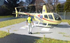 : Robinson R44 Raven