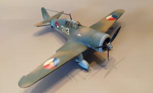 Galerie: Fokker D.XXI