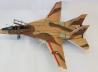 Grumman F-14 Tomcat